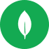 MongoDB MongoDB